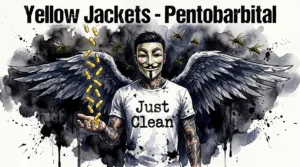 Die NeelixberliN Marken-Figur (Guy Fawkes Maske, Engelsflügel) steht im Rauch. Gelbe Kapseln regnen in seine Hand, umgeben von gelb-schwarzen Wespen.