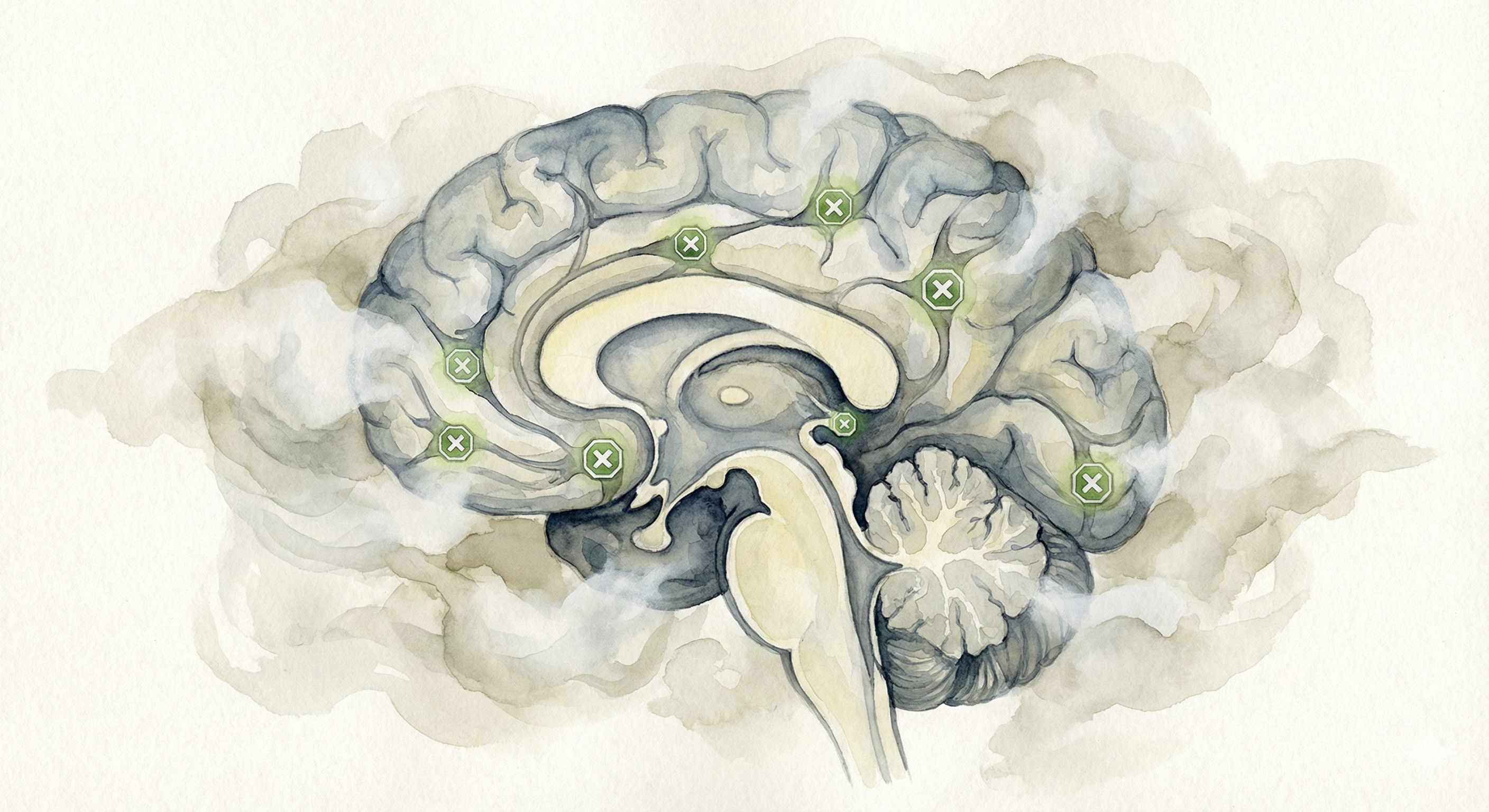 Gehirn unter Bromazolam Einfluss Sedierung und Nebel